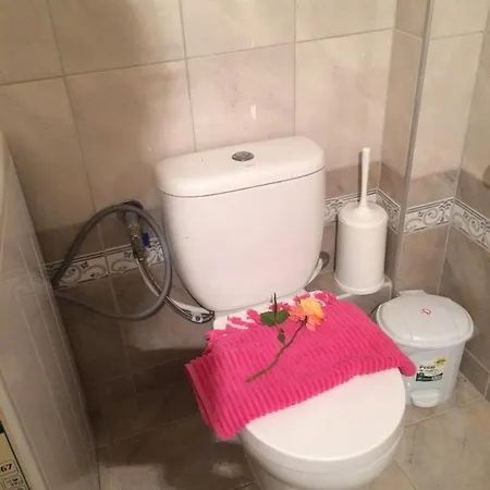 Dana's Cute Apartament *